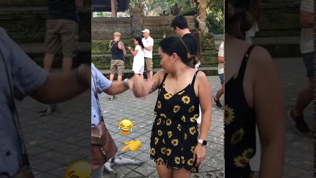 Jakol.mp4 (nakakatawa na unggoy) Jakol.mp4 (nakakatawa na unggoy)