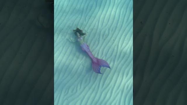 Mermaid swims & plays on the ocean floor! #mermaid #ocean #h2o #thelittlemermaid #travel #beach Mermaid swims & plays on the ocean floor! #mermaid #ocean #h2o #thelittlemermaid #travel #beach