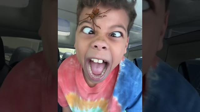 Spider on face prank!! Spider on face prank!!