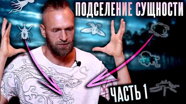 Астральные сущности #1: что такое лярвы? как выглядят? какие бывают? подселение сущности Астральные сущности #1: что такое лярвы? как выглядят? какие бывают? подселение сущности