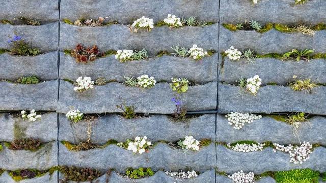 Cómo hacer un jardín vertical - bricomanía - jardinatis Cómo hacer un jardín vertical - bricomanía - jardinatis