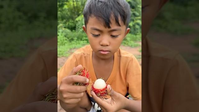 Survival skills: smart idea and useful in forest #bushcraft #camping #outdoors #survival Survival skills: smart idea and useful in forest #bushcraft #camping #outdoors #survival