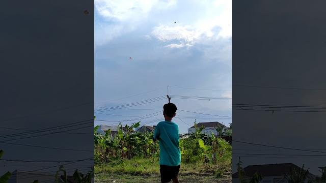 #shorts | layangan munaroh vs layangan seot #shorts | layangan munaroh vs layangan seot