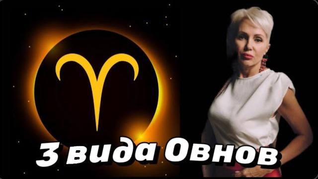 3 вида овнов! 20 апреля - тиран и деспот! 3 вида овнов! 20 апреля - тиран и деспот!