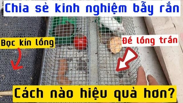 Chia sẻ kinh nghiệm bẫy rắn | nên bọc kín lồng bẫy hay để lồng trần | cách nào hiệu quả hơn? Chia sẻ kinh nghiệm bẫy rắn | nên bọc kín lồng bẫy hay để lồng trần | cách nào hiệu quả hơn?