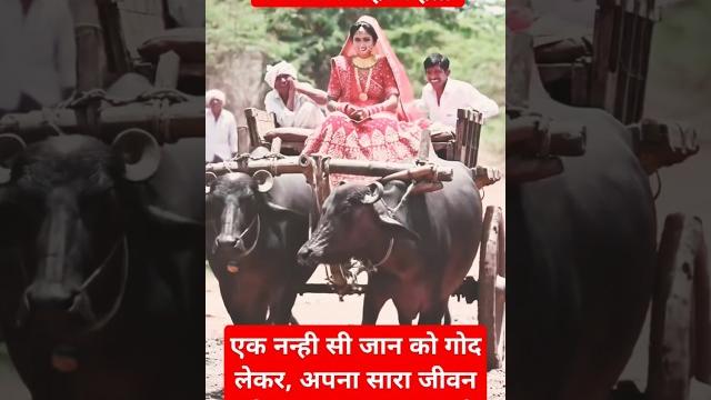 #radhe #, radhe #radhe #radhe #radha #radhakrishna #funny #fun #krishna #shortvideo #radheradhe #radhe #, radhe #radhe #radhe #radha #radhakrishna #funny #fun #krishna #shortvideo #radheradhe
