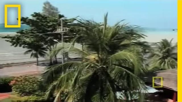 Tsunami witness | national geographic Tsunami witness | national geographic