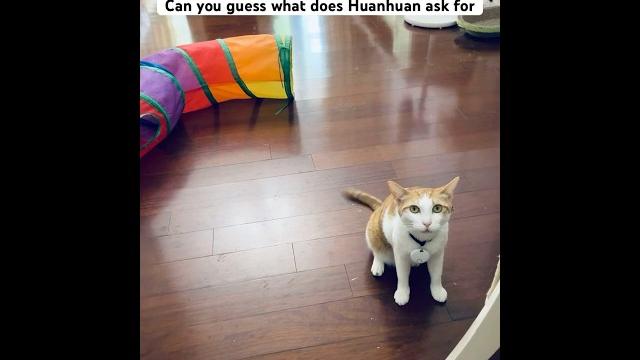 Huanhuan has some request #huanhuan Huanhuan has some request #huanhuan