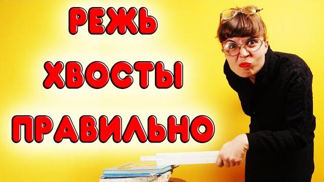 Как делать самогон без сивухи. как правильно отделять хвосты в самогоне. школа самогонщика Как делать самогон без сивухи. как правильно отделять хвосты в самогоне. школа самогонщика