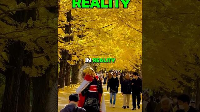 Places in japan you won't believe really exists️ Places in japan you won't believe really exists️
