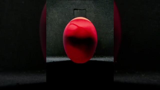 Egg candling from day 1 to 21 #eggcandling #candling #egghatching #hatching #youtubeshorts Egg candling from day 1 to 21 #eggcandling #candling #egghatching #hatching #youtubeshorts