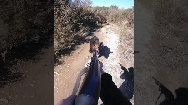 Охота на кабана на очень близком расстоянии #hunting #cinghiale #chasse #wildboar #охота#дикий кабан Охота на кабана на очень близком расстоянии #hunting #cinghiale #chasse #wildboar #охота#дикий кабан