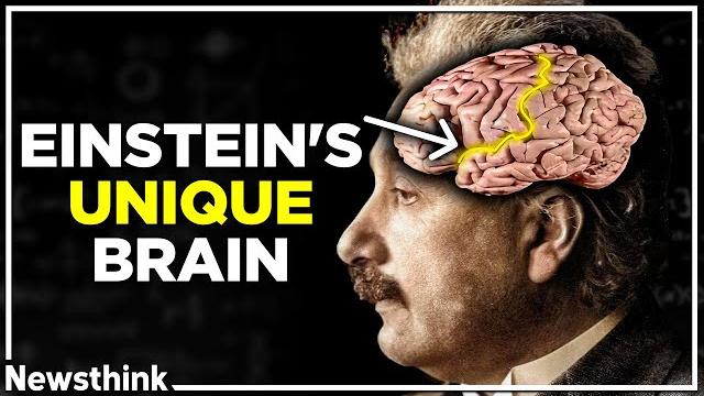 How einstein’s unique brain made him smarter How einstein’s unique brain made him smarter