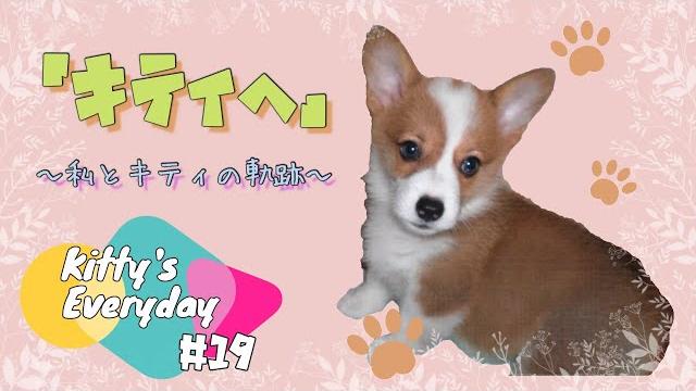 【blog】キティさんの日常#19 ~私とキティの軌跡~ 手紙動画「キティへ」 【blog】キティさんの日常#19 ~私とキティの軌跡~ 手紙動画「キティへ」