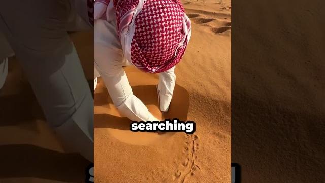 He found this little fish living in the desert ( : asd141423) He found this little fish living in the desert ( : asd141423)