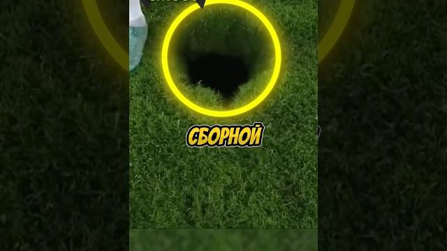 Что с футбольными полями? #футбол #football #спорт Что с футбольными полями? #футбол #football #спорт