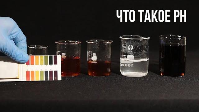 Что такое ph простыми словами Что такое ph простыми словами