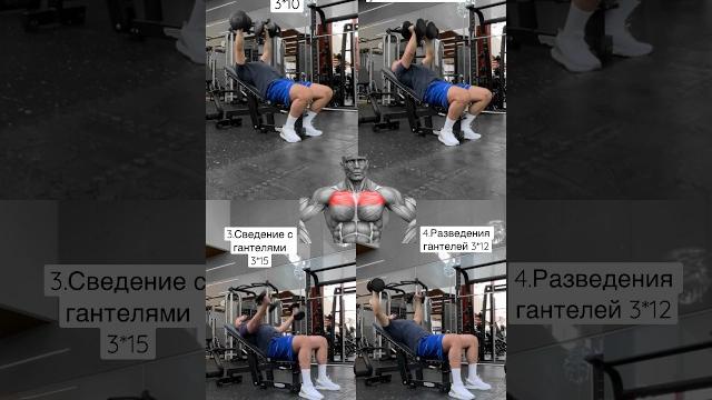 Верх грудных мышц 4 упражнения #тренировка #homeworkout #тренировкадома #тренировкагруди#мышцыгруди Верх грудных мышц 4 упражнения #тренировка #homeworkout #тренировкадома #тренировкагруди#мышцыгруди