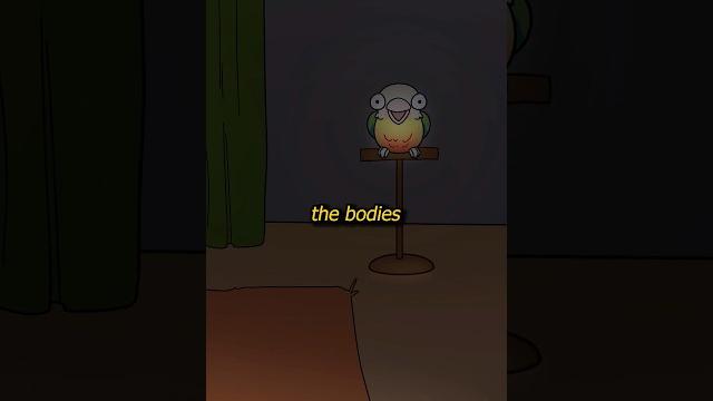 I think something is horribly wrong with my bird. #shorts I think something is horribly wrong with my bird. #shorts