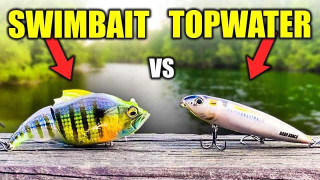 Topwater vs swimbait fishing tournament!!! (big fish) Topwater vs swimbait fishing tournament!!! (big fish)