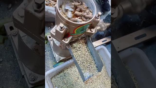 Peanut shell maize animal feed pellet machine Peanut shell maize animal feed pellet machine