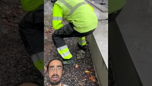 Kaka Kaka