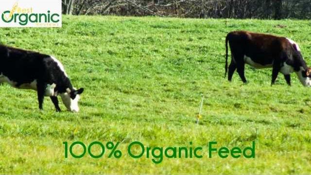 Organic milk vs regular milk Organic milk vs regular milk