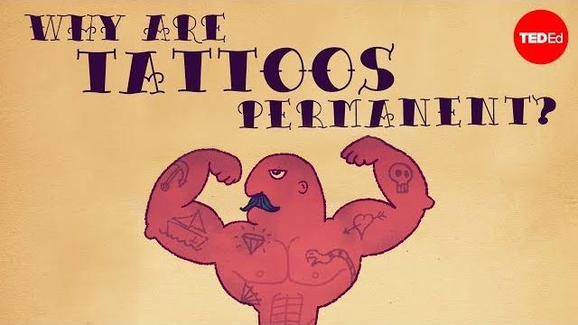 What makes tattoos permanent? - claudia aguirre What makes tattoos permanent? - claudia aguirre