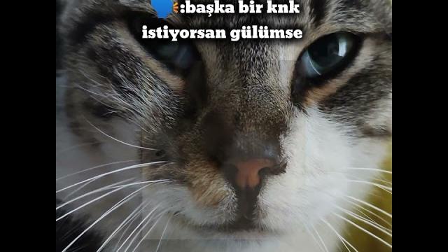 Meryem️️ Meryem️️