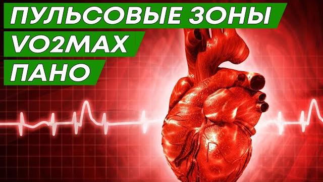Пульсовые зоны. аэроб и анаэроб. пано. мпк (vo2 max) Пульсовые зоны. аэроб и анаэроб. пано. мпк (vo2 max)