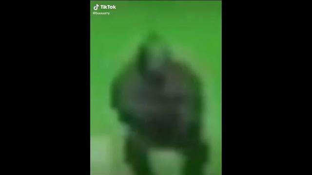 Papa duru duru wap Papa duru duru wap