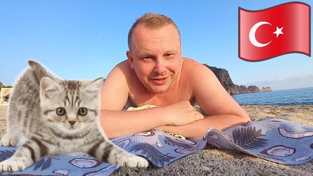 #15.в турции я превратился в куклачёва — коты повсюду! «тюлений отдых» на пляже клеопатры в аланье. #15.в турции я превратился в куклачёва — коты повсюду! «тюлений отдых» на пляже клеопатры в аланье.