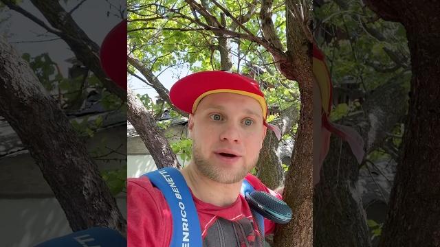 Домик на дереве (смешное видео, поржать, приколы, юмор, прикол) Домик на дереве (смешное видео, поржать, приколы, юмор, прикол)