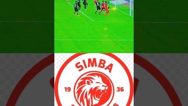 Goli la simba....credit caf Goli la simba....credit caf