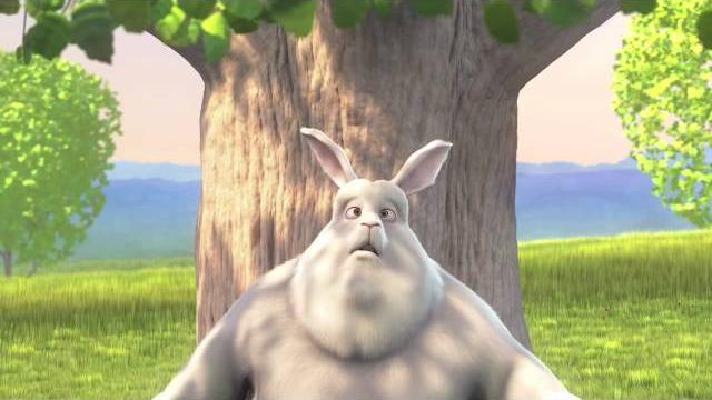 Big buck bunny Big buck bunny