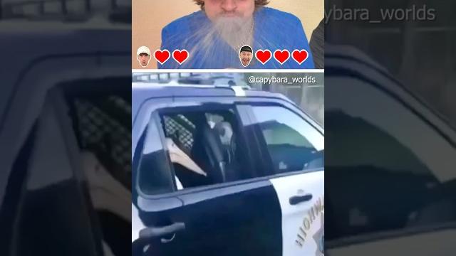 Try not to laugh | 442 #funny Try not to laugh | 442 #funny