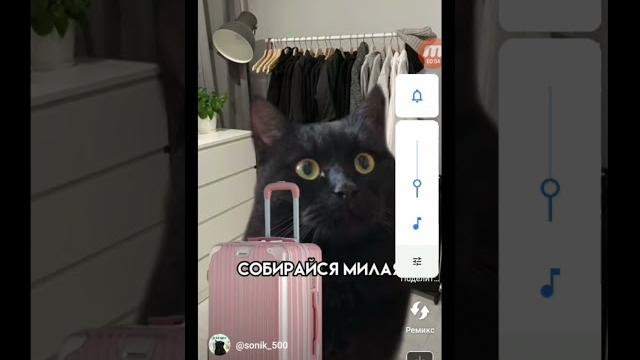 Локи мур ️️️️ Локи мур ️️️️