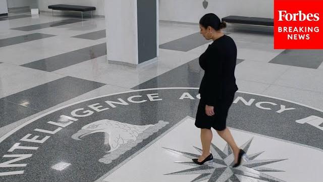 Viral cia recruitment video features "cisgender millennial" who says "i am unapologetically me" Viral cia recruitment video features "cisgender millennial" who says "i am unapologetically me"