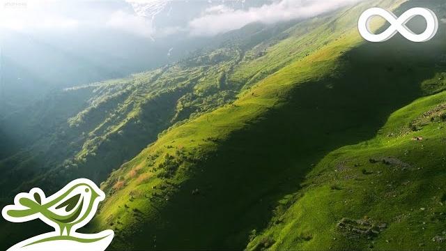 The hidden valley: ambient relaxing music for stress relief, sleep & meditation The hidden valley: ambient relaxing music for stress relief, sleep & meditation