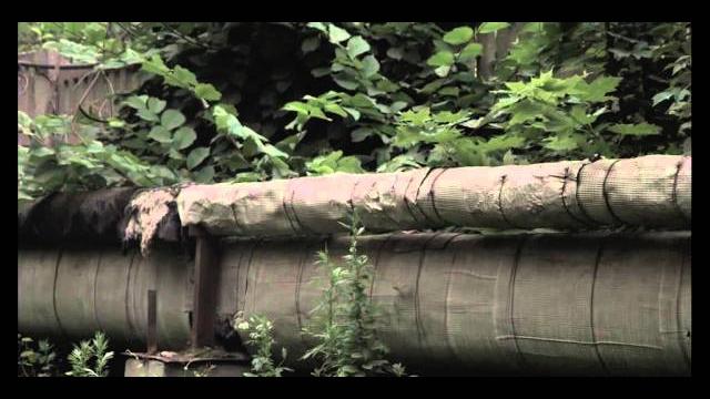Аррни родился, привет Аррни родился, привет