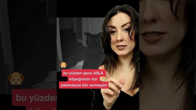 Asla gece köpeğinizin sizi yalamasına izin vermeyin! #shorts kısa korku hikayeleri #şehirefsaneleri Asla gece köpeğinizin sizi yalamasına izin vermeyin! #shorts kısa korku hikayeleri #şehirefsaneleri