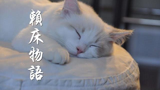 Vk-賴床物語『鬧鐘怎麽突然響,夢中還有話沒好好講』華語流行音樂 Vk-賴床物語『鬧鐘怎麽突然響,夢中還有話沒好好講』華語流行音樂
