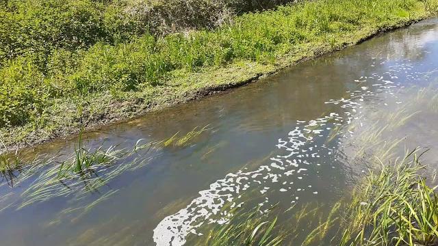 Video of stw outfall into lark Video of stw outfall into lark