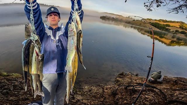 Relaxing bay area trout fishing Relaxing bay area trout fishing