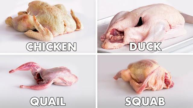How to butcher every bird | method mastery | epicurious How to butcher every bird | method mastery | epicurious