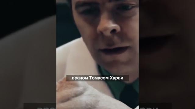 Как устроен мозг эйнштейна Как устроен мозг эйнштейна