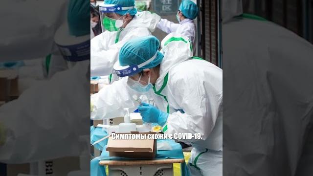Новая угроза: метапневмовирус в китае Новая угроза: метапневмовирус в китае