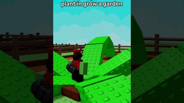 The biggest plant in grow a garden🪴 The biggest plant in grow a garden🪴