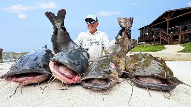 Hand catching giant catfish in dangerous under water caves (6 day road trip, florida to alabama) Hand catching giant catfish in dangerous under water caves (6 day road trip, florida to alabama)