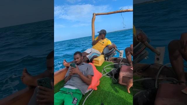 Safari blue tourenjoy the sailing and calmness marin trip#zanzibar #vacation #beach #tour Safari blue tourenjoy the sailing and calmness marin trip#zanzibar #vacation #beach #tour